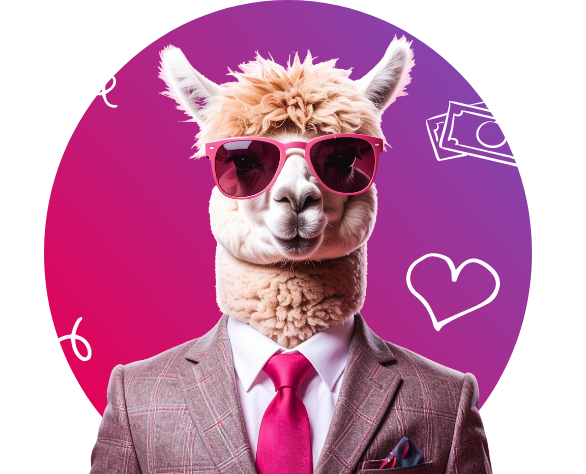 Alpaka Partner