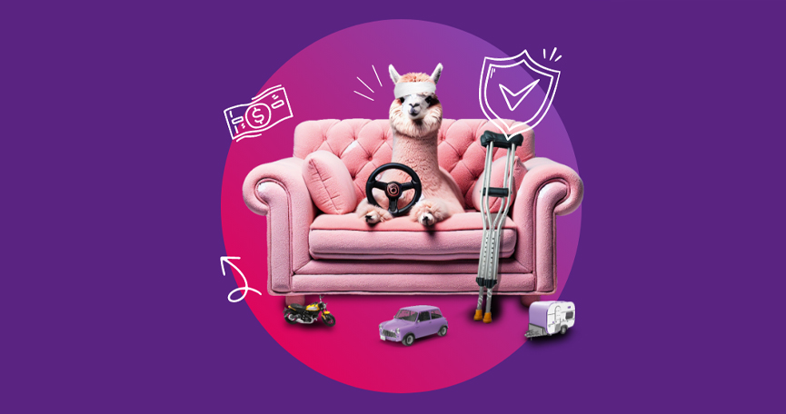 Lama auf pinkem Sofa mit Autozubehör und Sicherheitssymbolen.